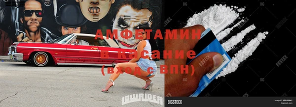 шишки Горняк