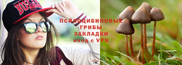 шишки Горняк