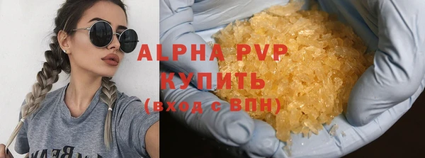шишки Горняк