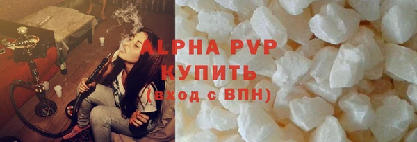 шишки Горняк