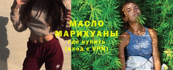 шишки Горняк
