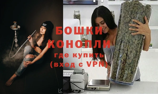 ALPHA-PVP Гусев