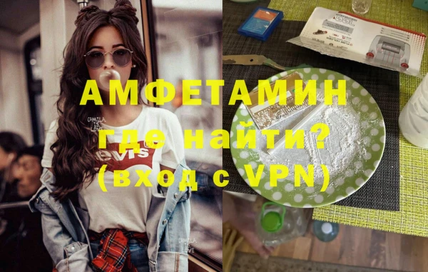 шишки Горняк