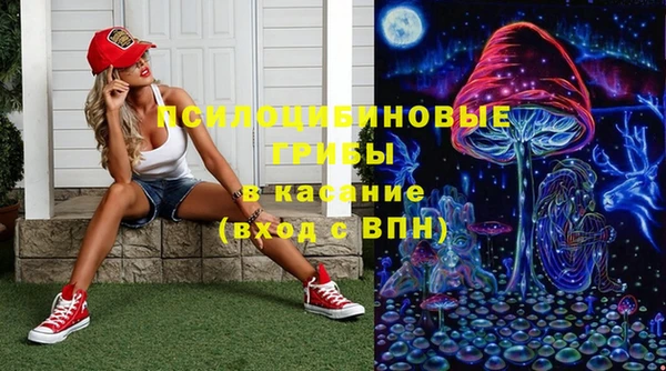 шишки Горняк