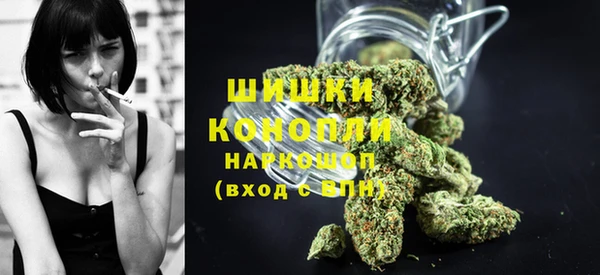 шишки Горняк